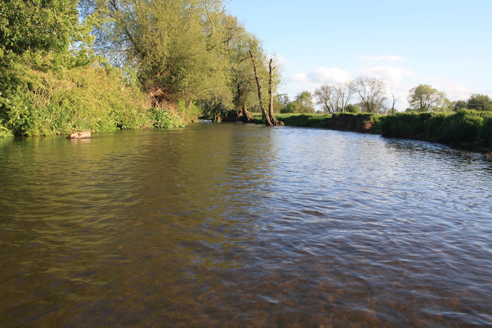 Test AS6Wide Brook